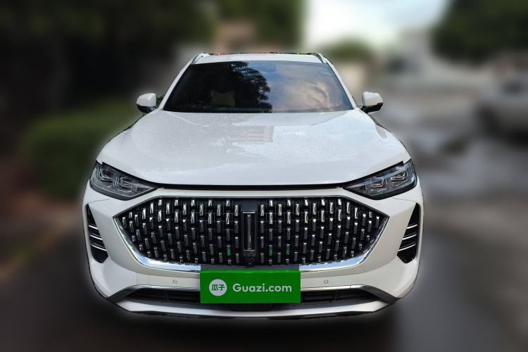 Used Wey Mocha 2021 2.0T Two-Wheel-Drive Premium Edition