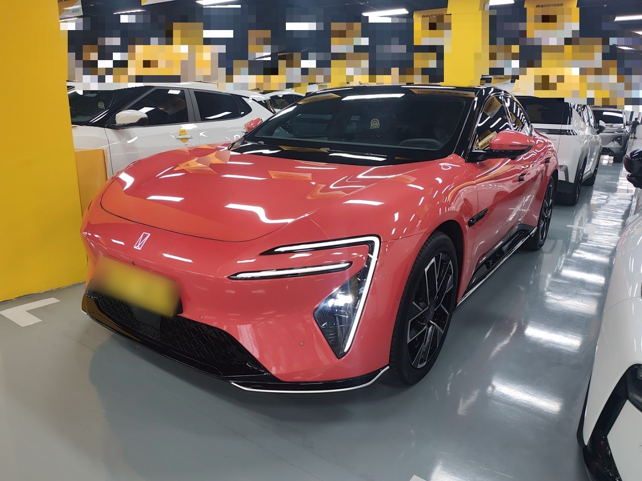 Parte inferior delantera