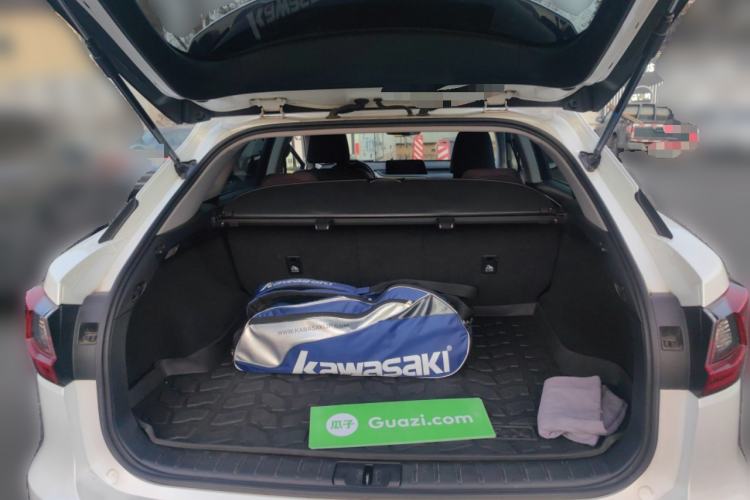 Used Lexus RX 2016 300 Two-Wheel Drive Elite Version China V Standard
