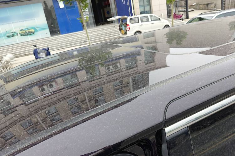 Used Hongqi HQ9 2023 2.0T Smart Connect Flagship Edition
