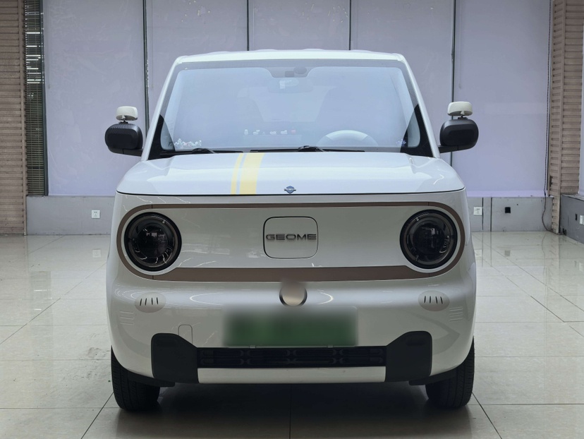 Geely Galaxy Panda 2024 Panda Mini 200km Endurance Bear — снимка 16