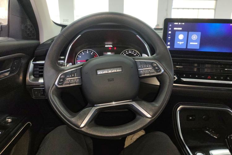 Used Haval H6 2023 National Trend Edition 1.5T Automatic Urban Version
