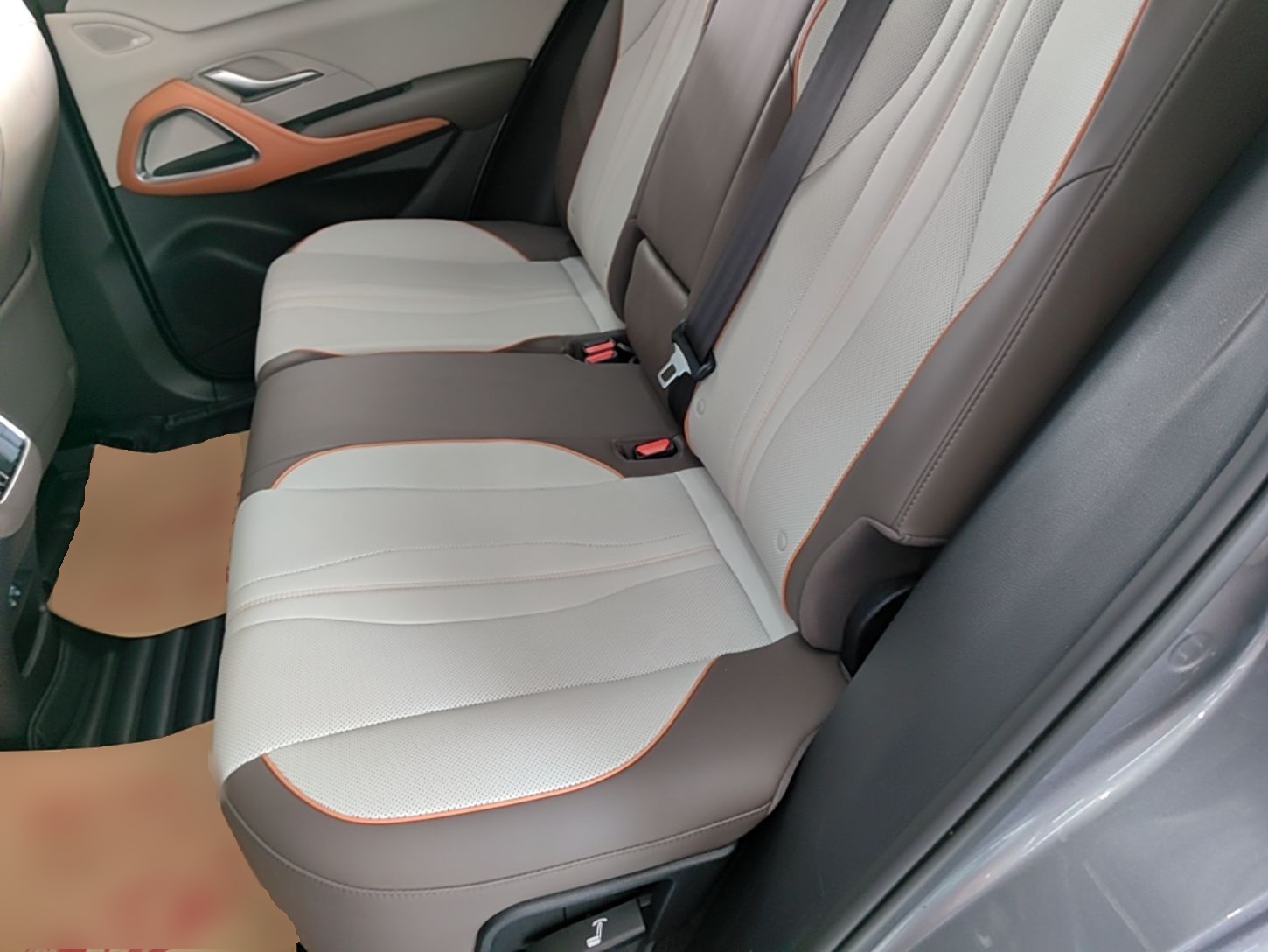 BYD Song Pro New Energy 2022 DM-i 51km Prestige Model - Executive — снимка 20