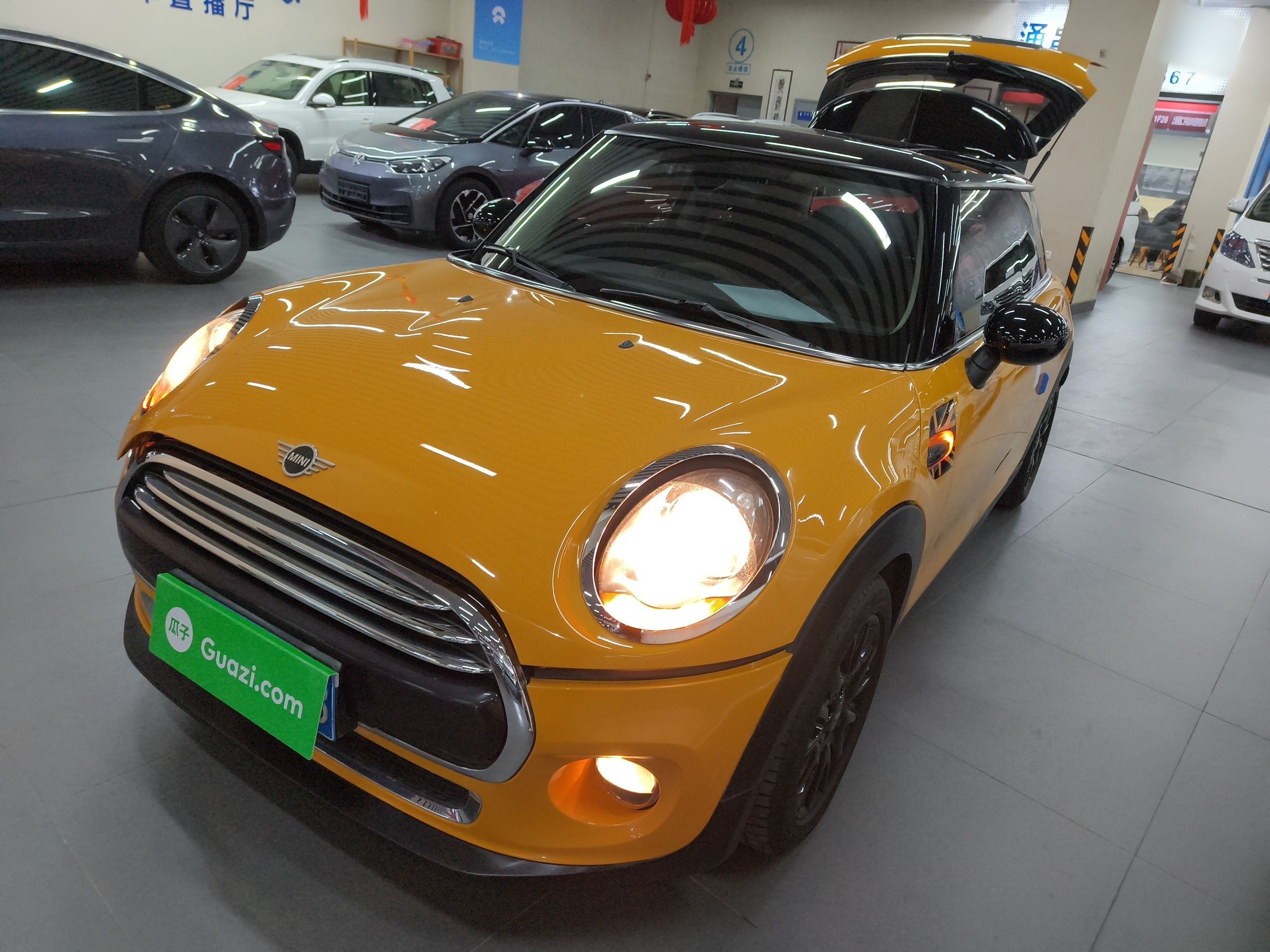 تحت مقدمة السيارة