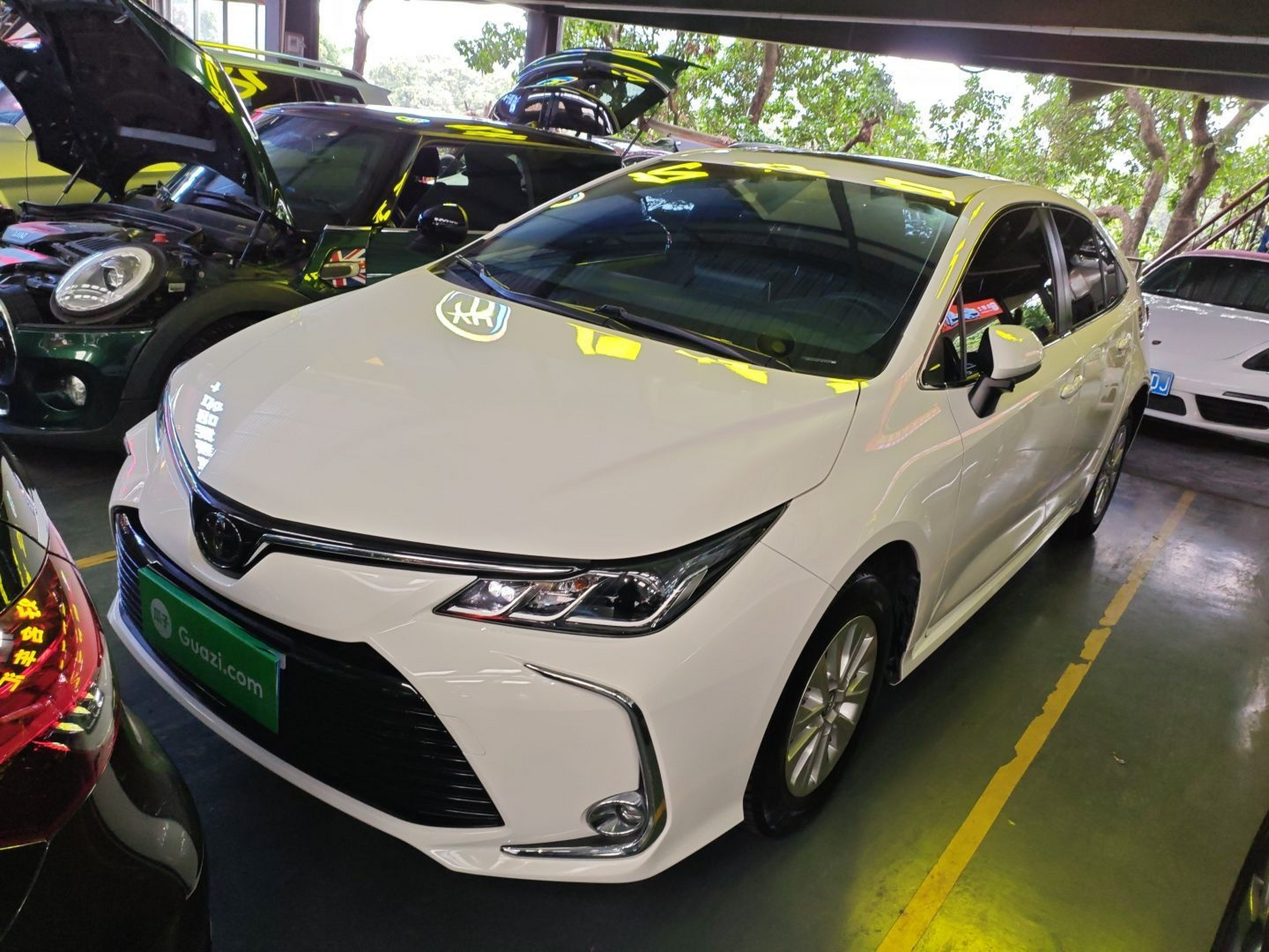 تحت مقدمة السيارة