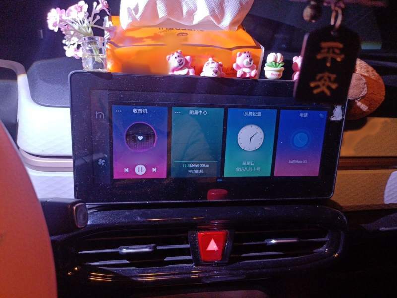 Used JAC Yiwei E10X 2024 Charming Edition 301km Lite — 25