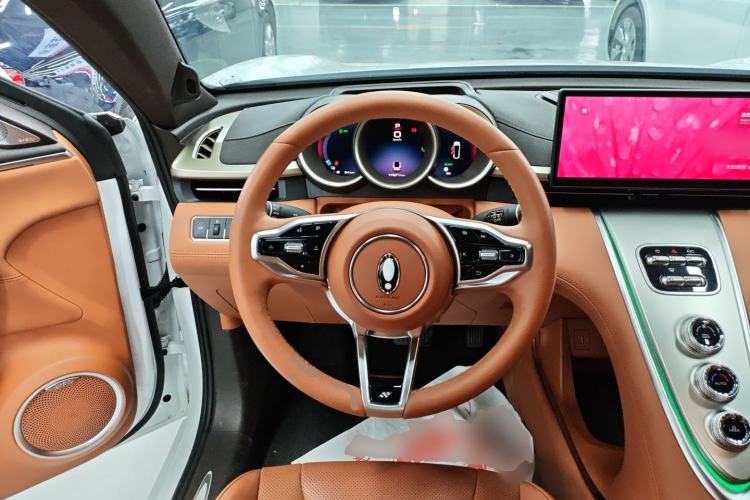 Used ORA Lightning Cat 2022 555 km Luxury Edition