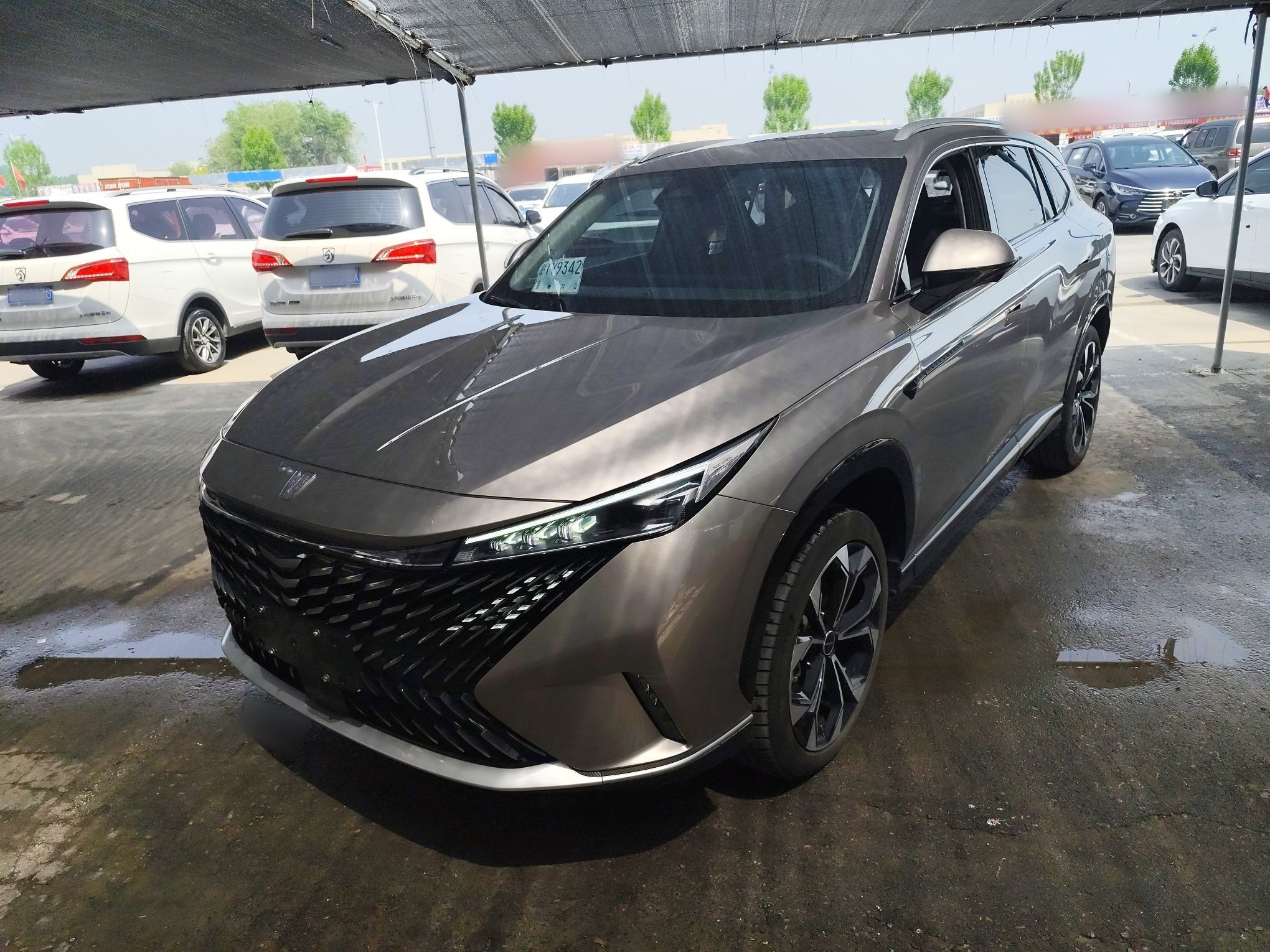 Parte inferior delantera