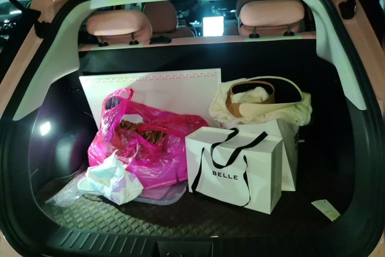 Used NETA V 2021 Witch Edition
