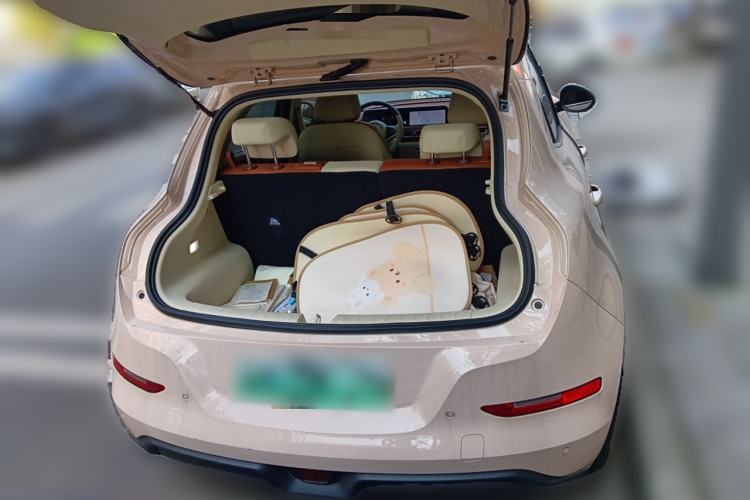 Used ORA Good Cat 2023 401 km Standard Range Luxury Version Lithium Iron Phosphate Trunk