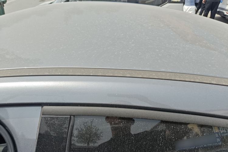 Used BYD Qin PLUS 2025 DM-i Smart Drive 55KM Leading Model Roof