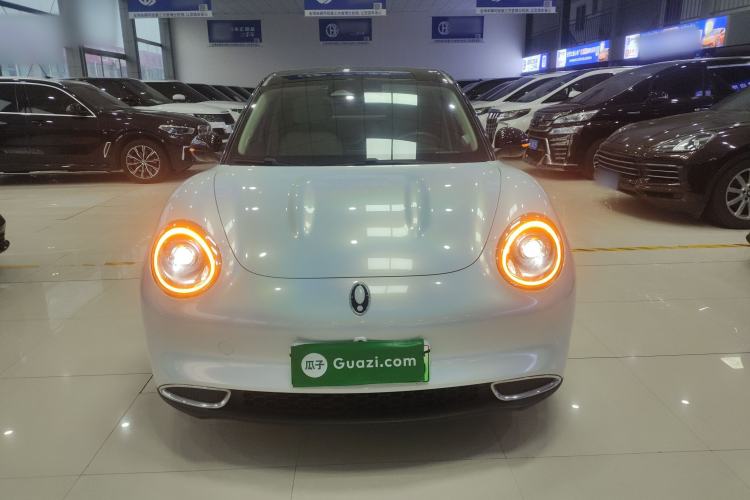 Used ORA Good Cat 2021 500km Long-Range Poseidon Edition Lithium-Ion Battery