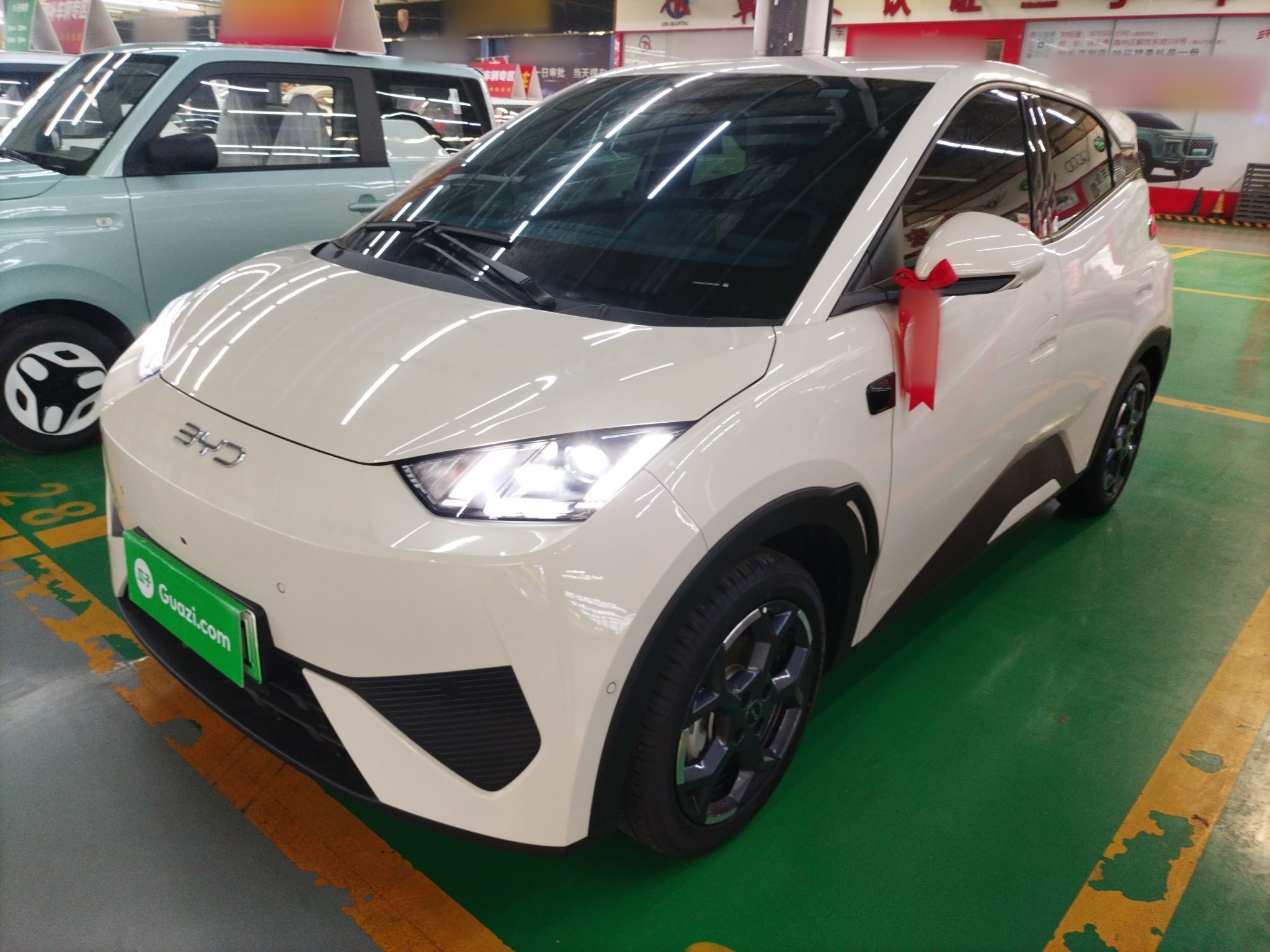 Parte inferior delantera