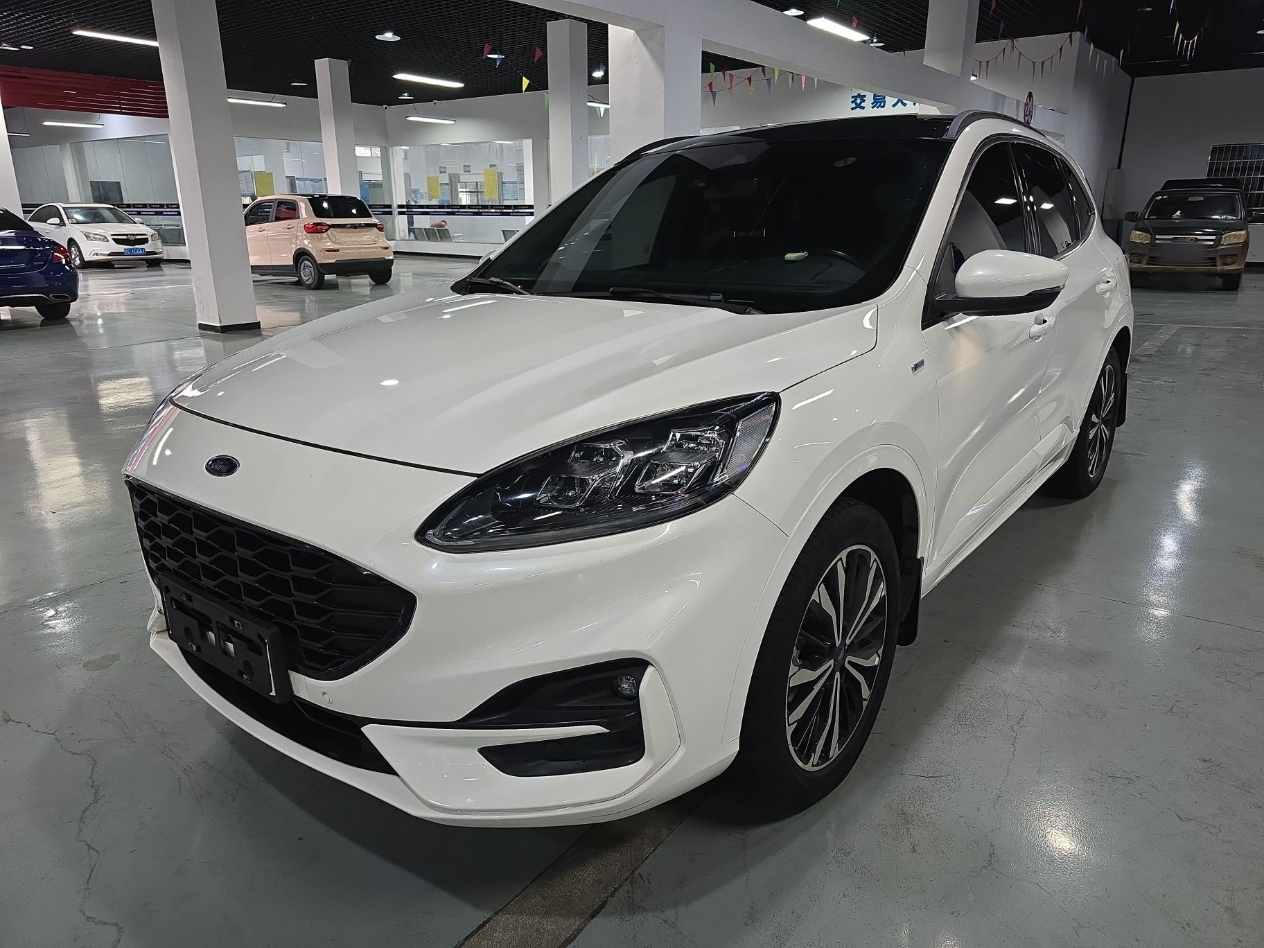 Parte inferior delantera