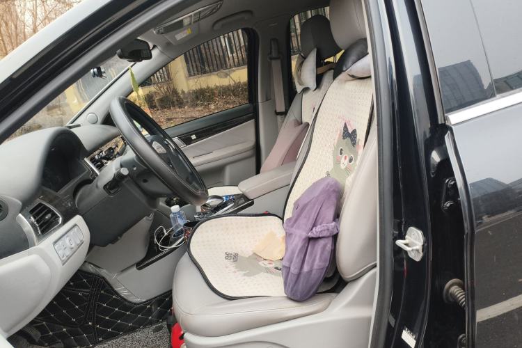 Used Denza 2017 Stylish Edition