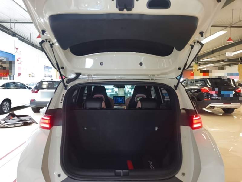 Used BYD Seagull 2025 305 km Free Version — 18