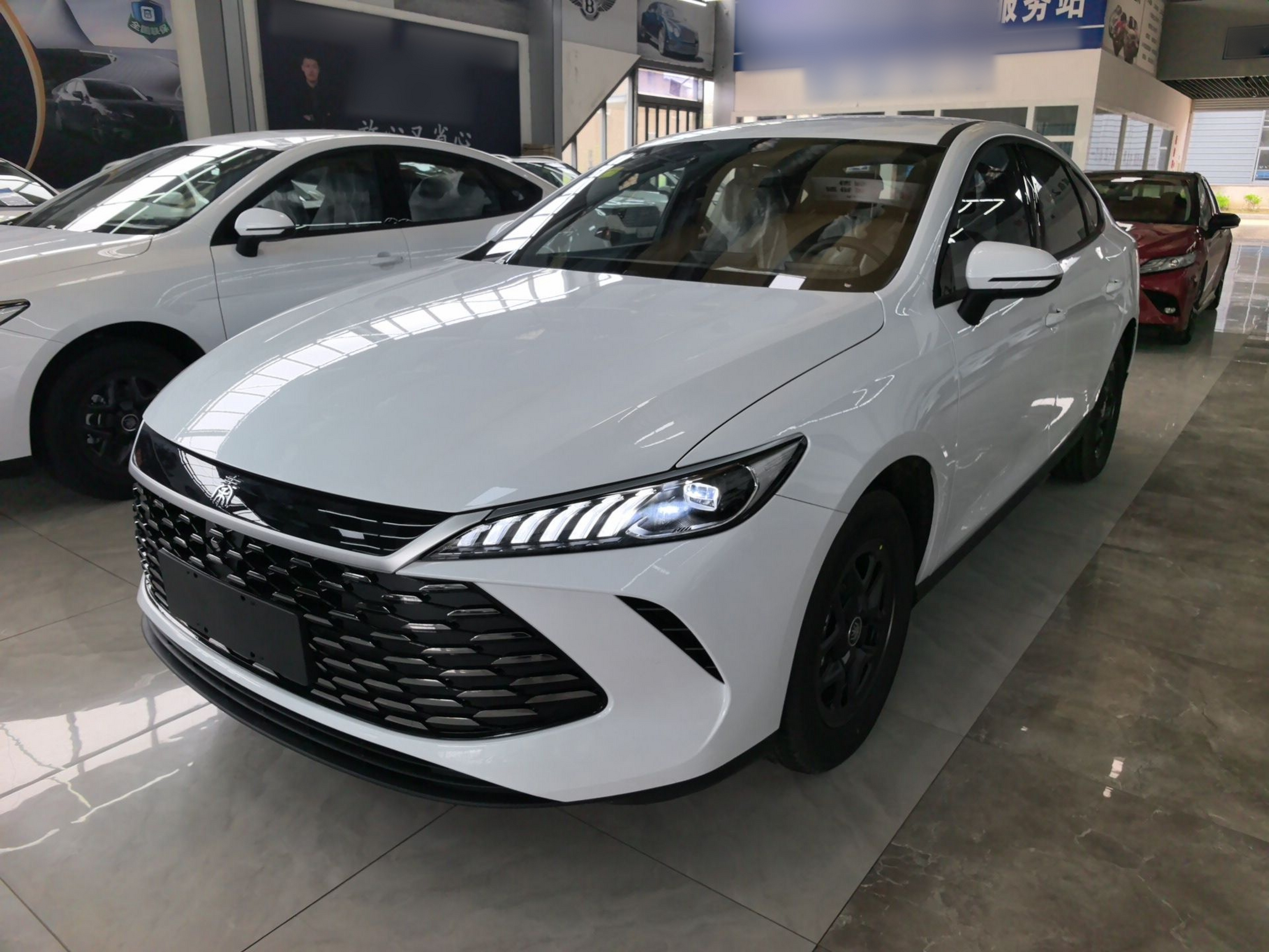 Under Front Bumper