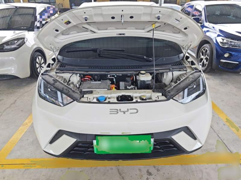 Used BYD Seagull 2025 305km Active Version — 19