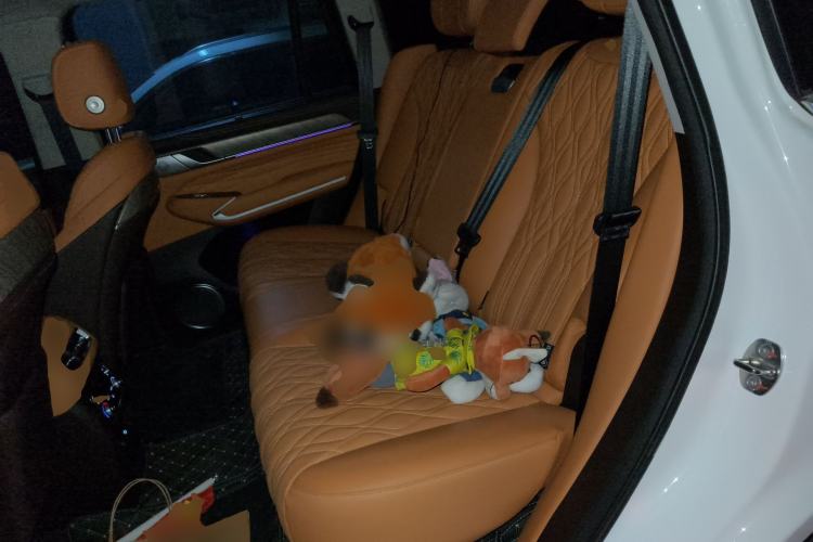 Used Tank 500 New Energy 2026 Model—Hi4-Z Smart Enjoyment Version Left Rear Seat