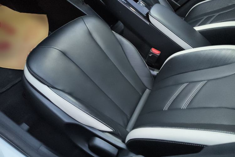 Used Geometry E Firefly 2023 401KM Linglong Tiger 5-Seater
