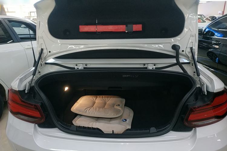 Used BMW 2 Series (Import) 2019 225i Convertible Coupe Sports Design Package
