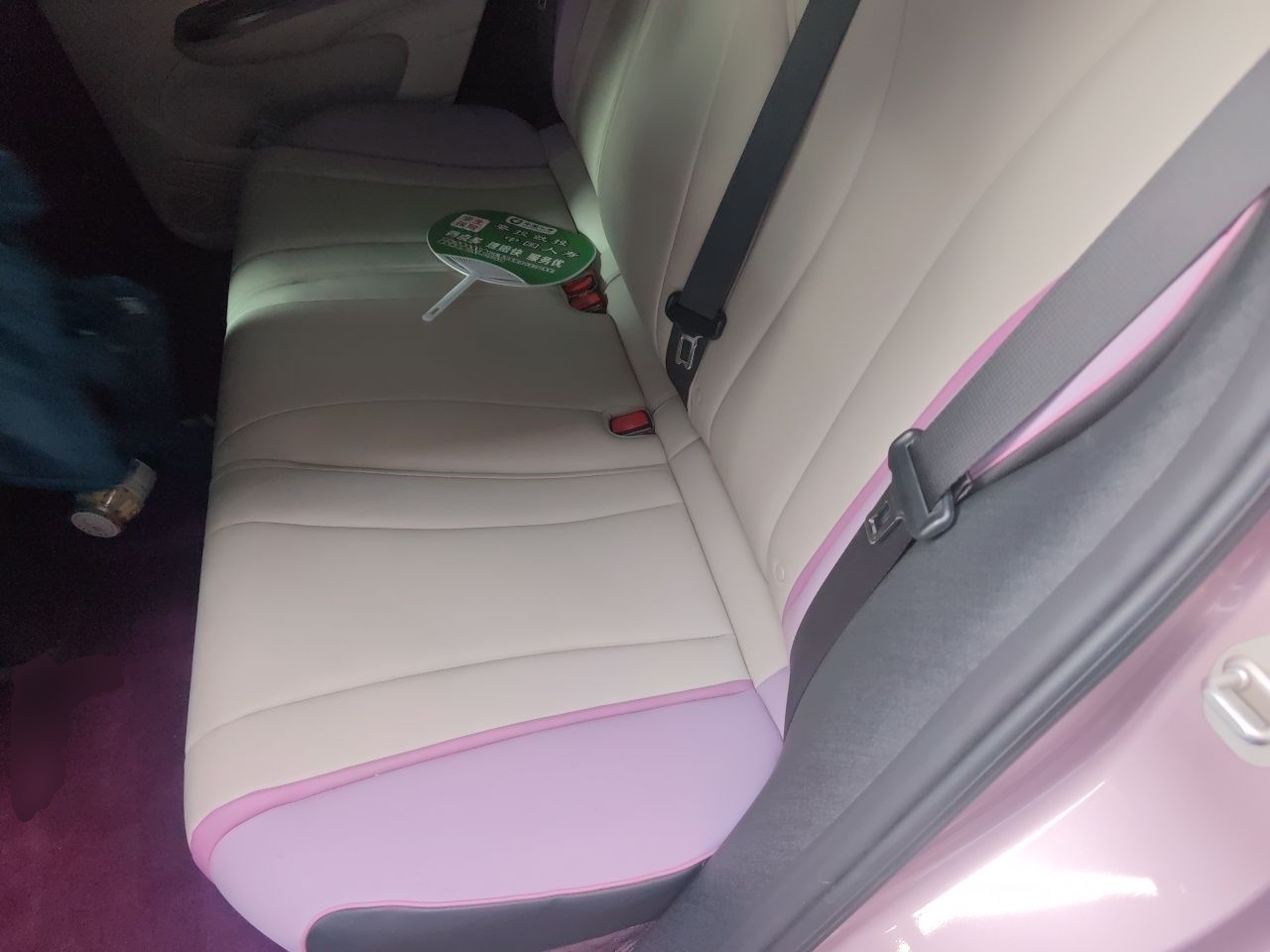 BYD Dolphin 2021 405 km Free Version — снимка 17