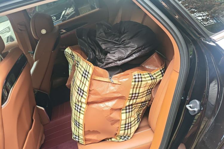 Used Hongqi H9 2022 2.0T Smart Connect Flagship Edition Left Rear Seat