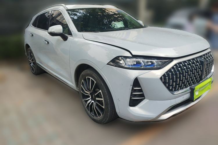 Used Wey Mocha 2021 2.0T Four-Wheel Drive Premium Edition
