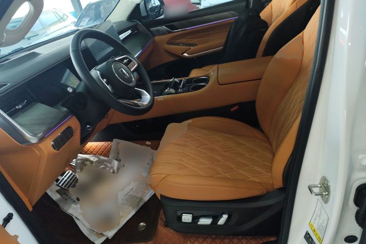 Used Tank 500 New Energy 2026 Model—Hi4-Z Smart Enjoyment Version Left Front Seat