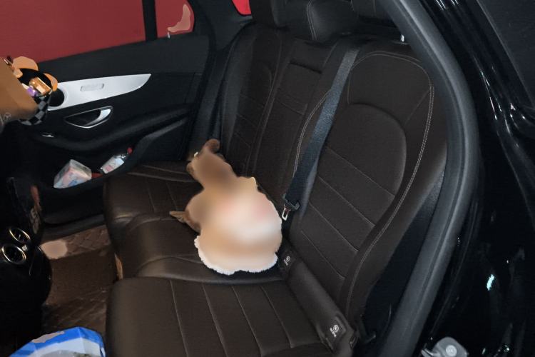 Used Mercedes-Benz GLC 2021 GLC 260 L 4MATIC Dynamic Edition Interior 4