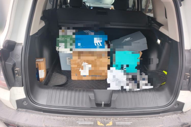 Used Haval DARGO 2021 1.5T DCT Two-Wheel Drive Border Collie Edition
