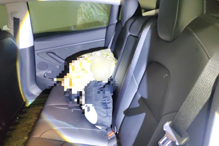 Used Tesla Model 3 2022 Rear-Wheel-Drive Version