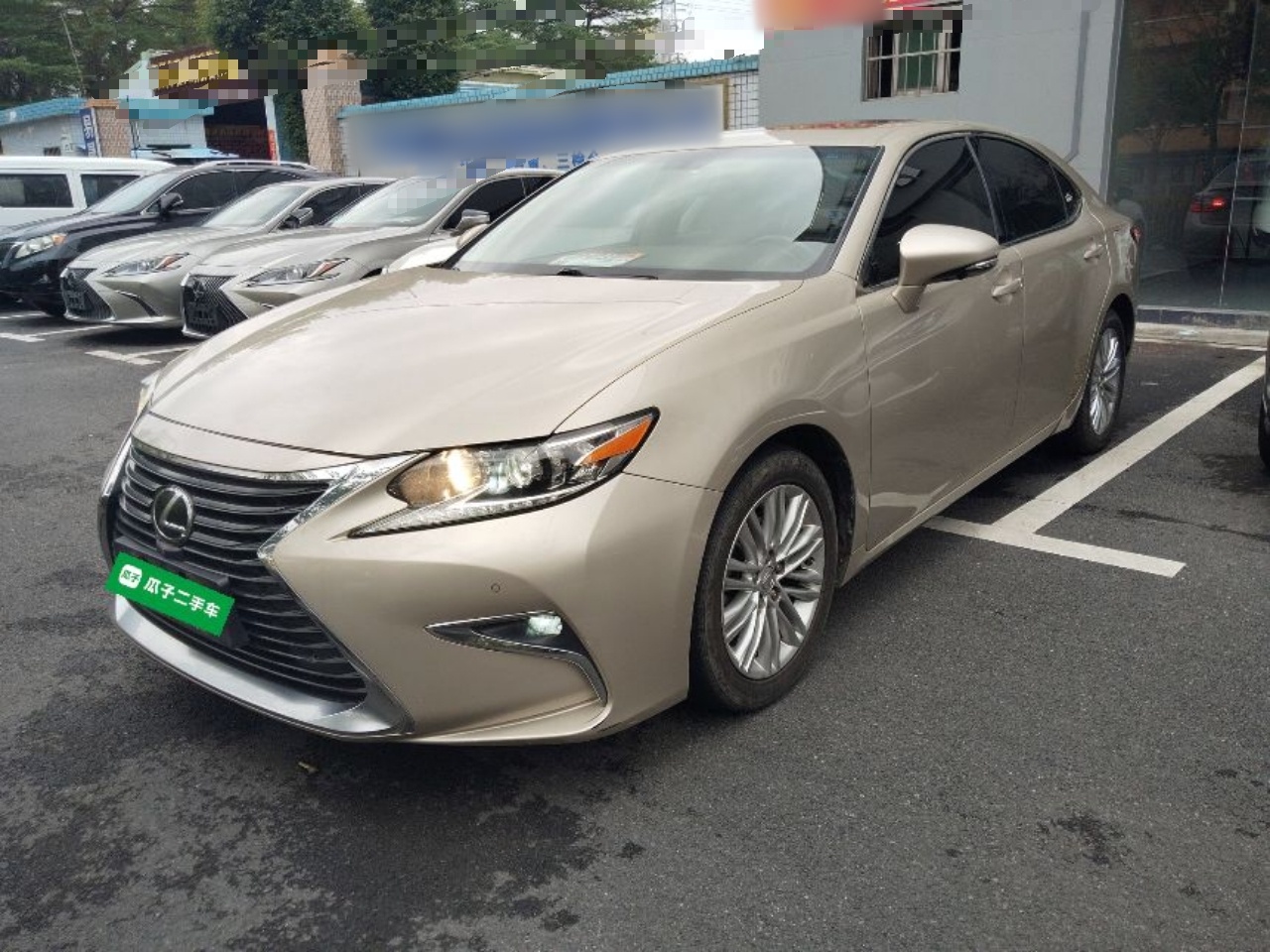 Parte inferior delantera