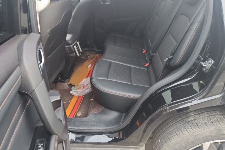 Used Haval DARGO 2024 2.0T DCT Chinese Rural Dog Edition
