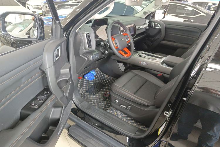 Used Haval DARGO 2024 2.0T DCT Chinese Rural Dog Edition
