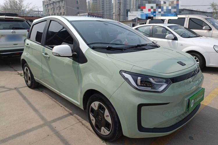 Used SOL E10X 2022 Flower Fairy Design Four-Leaf Clover