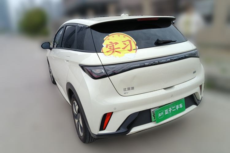 Used BYD Dolphin 2024 Honor Edition 420km Fashion Version Exterior 2