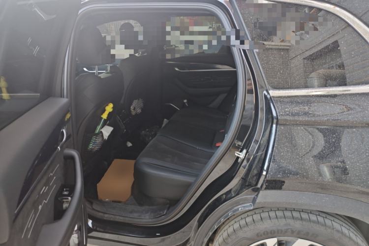 Used Geely Auto Monjaro L 2024 2.0TD High-Power Automatic Two-Wheel Drive Skyline Edition Left Rear Seat