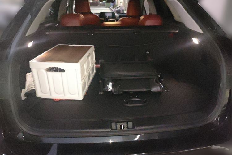 Used Lexus RX 2020 Revised Version 300 Two-Wheel Drive Elite Edition