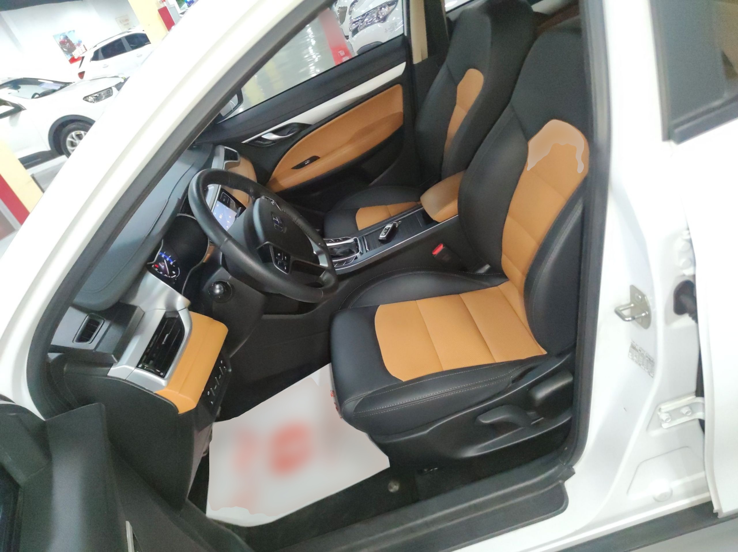 Interior delantero