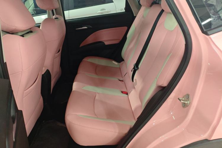 Used NETA V 2021 Witch Edition
