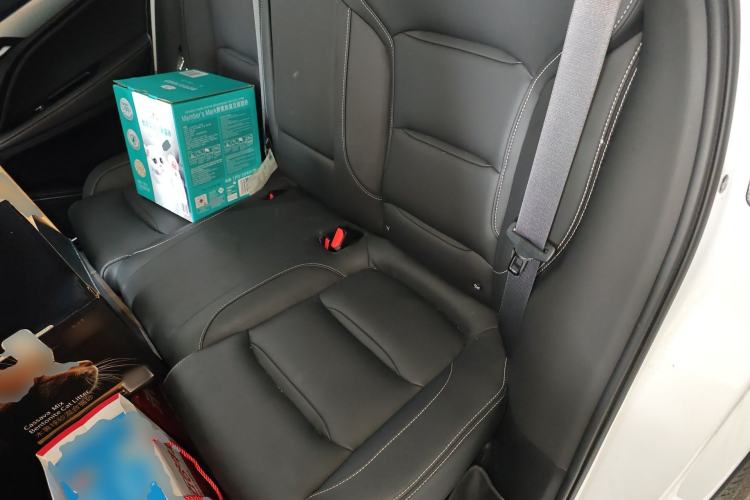 Used Geely Auto Monjaro 2019 300T YAOXINGZHE Left Rear Seat