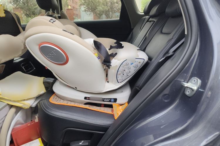 Used BYD Song Pro 2019 1.5T Automatic Luxury Model Left Rear Seat