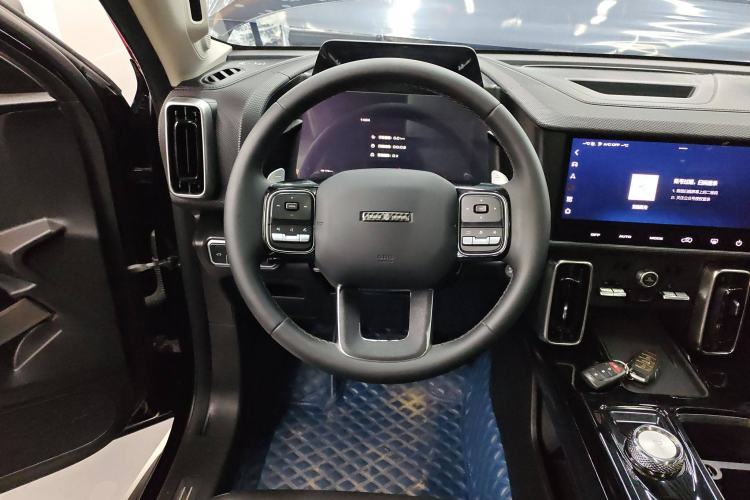 Used Haval DARGO 2022 2.0T DCT 4x4 Chinese Rural Dog Hunting Edition
