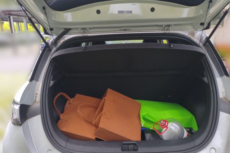 Used BYD Dolphin 2021 405 km Free Version