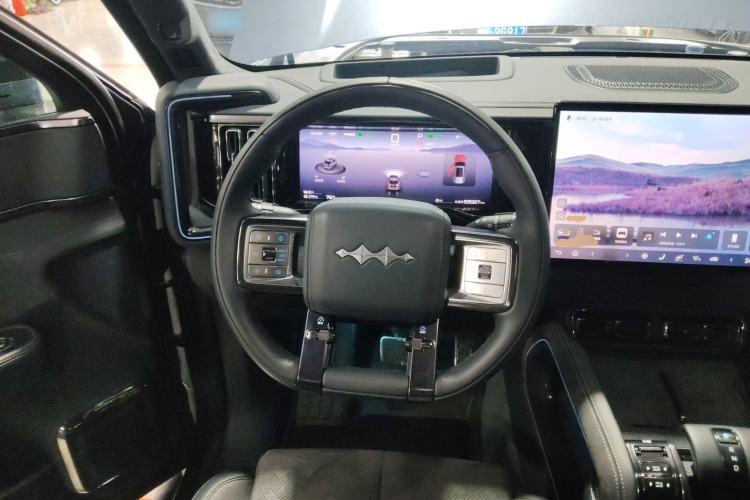 Used Formula Leopard 5 2023 Cloud Ride Flagship Edition Steering Wheel