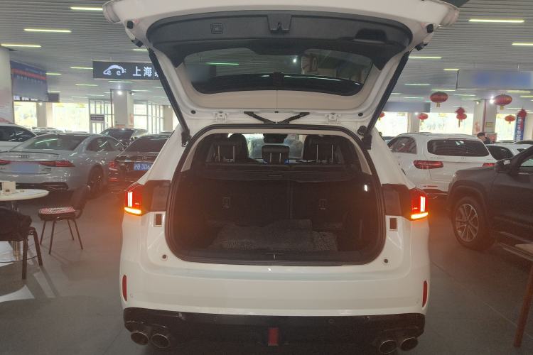 Used Wey VV6 2021 2.0T Two-Wheel Drive Smart Plus