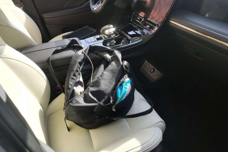 Used GAC Trumpchi E9 2023 E9 MAX Right Front Seat