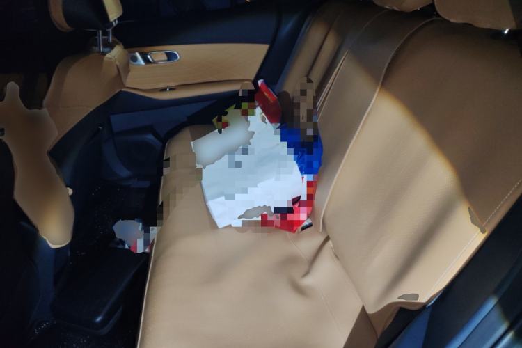 Used Geely Galaxy Xingjian 7 EM-i 2025 120km Exploration+ Version Left Rear Seat