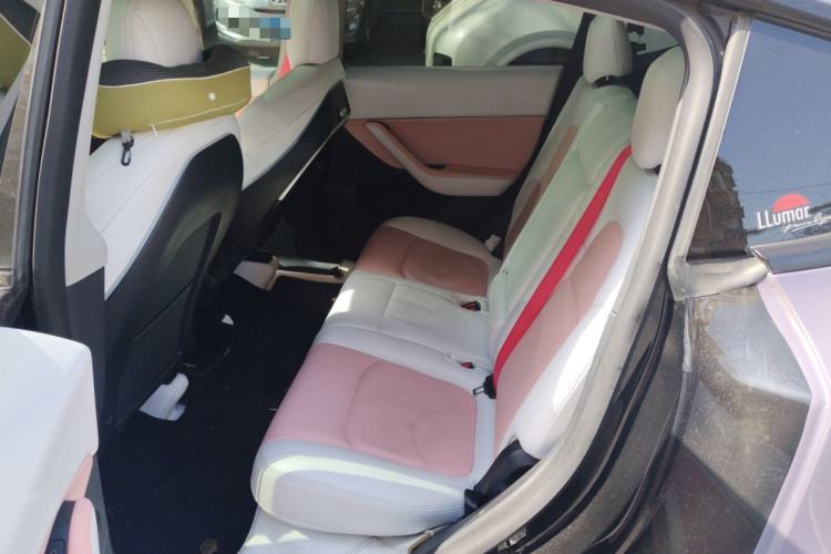 Used Tesla Model Y 2021 Standard Range Rear-Wheel Drive Version